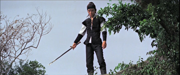 David Chiang, wearing a brown tunic, stands outside next too a bush. He's holding a sword in his hand.