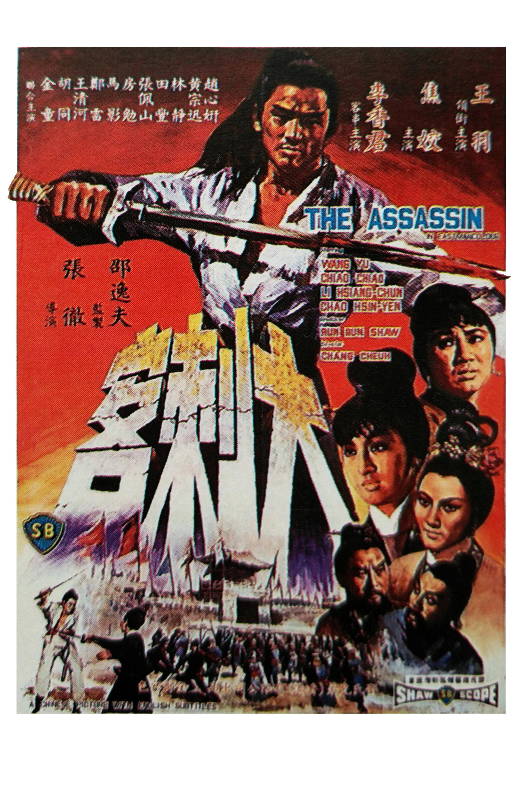 Movie poster for The Assassin