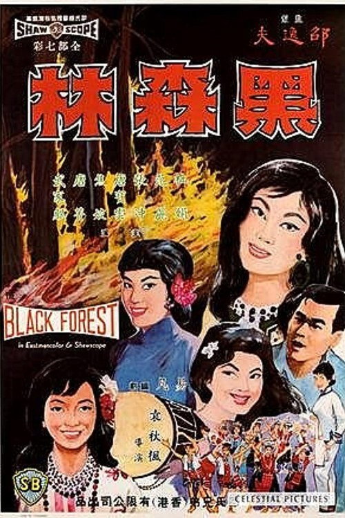 Movie poster for The Black Forest